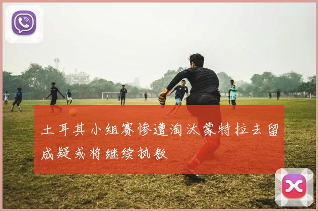 土耳其小组赛惨遭淘汰蒙特拉去留成疑或将继续执教