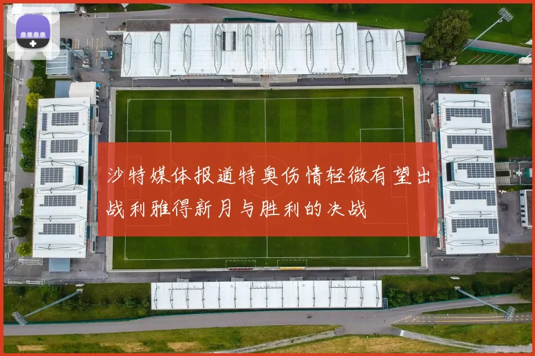 沙特媒体报道特奥伤情轻微有望出战利雅得新月与胜利的决战